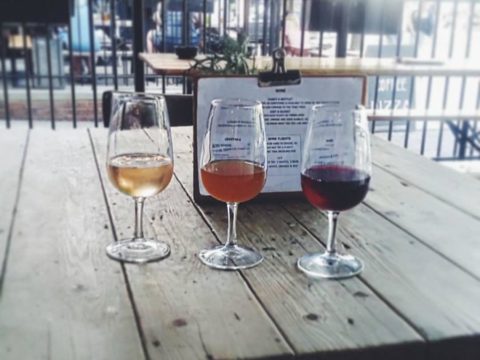 North Four, North London magazine, yield n16, cheese, wine, newington green, wine, wine tasting